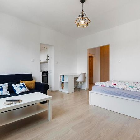 Apartment 20 Minutes From City Center W Netflix, Coffee Or Tea & Parking Pressburg Exterior foto